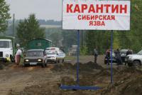Более 30 человек заразились в Узбекистане сибирской язвой