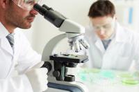 Ученые пяти стран обсудят в Приморье антимикробную терапию