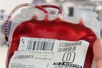  Ученые готовы попробовать переливать людям искусственную кровь