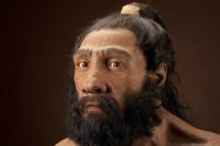 Фекалии неандертальцев раскрыли происхождение вегетарианства